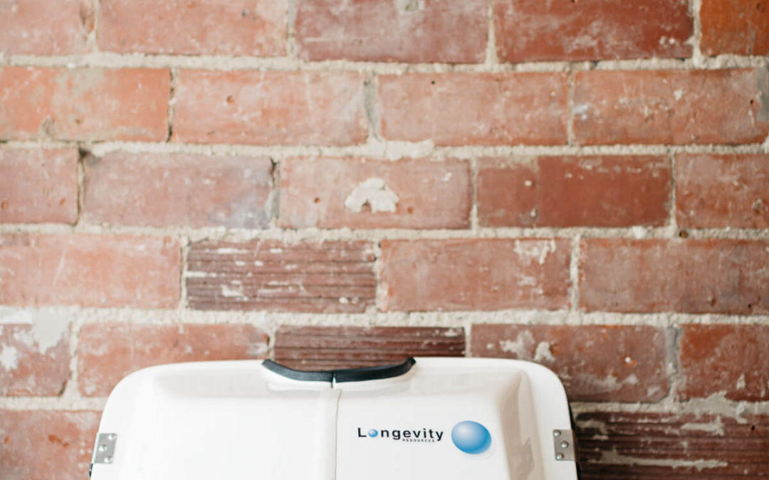 Healing the Immune System