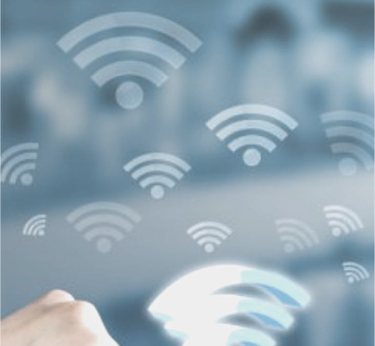 What to do about EMF wireless radiation?